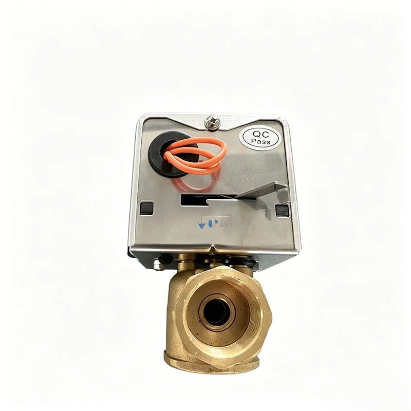 Silver actuator rear valve view