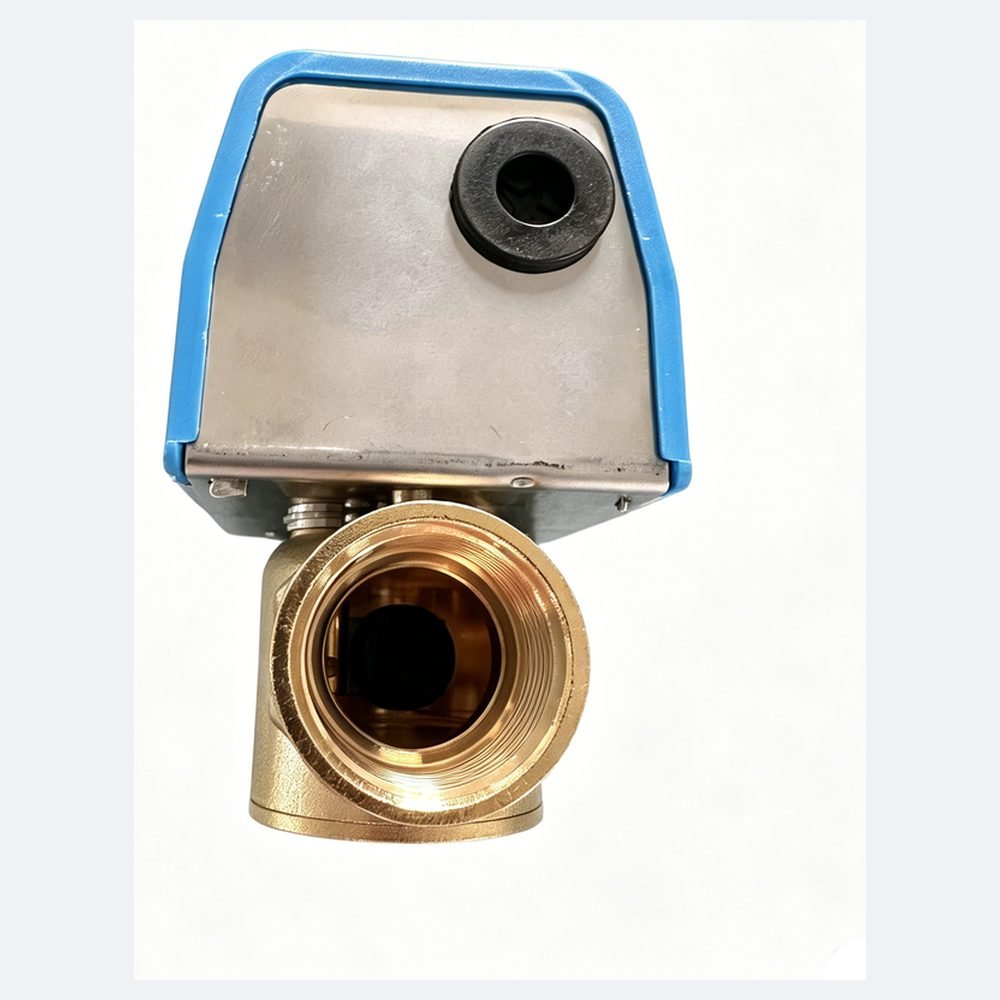 Brass valve front port detail